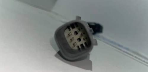 2019 F-150 Halogen to LED harness (WILSON)